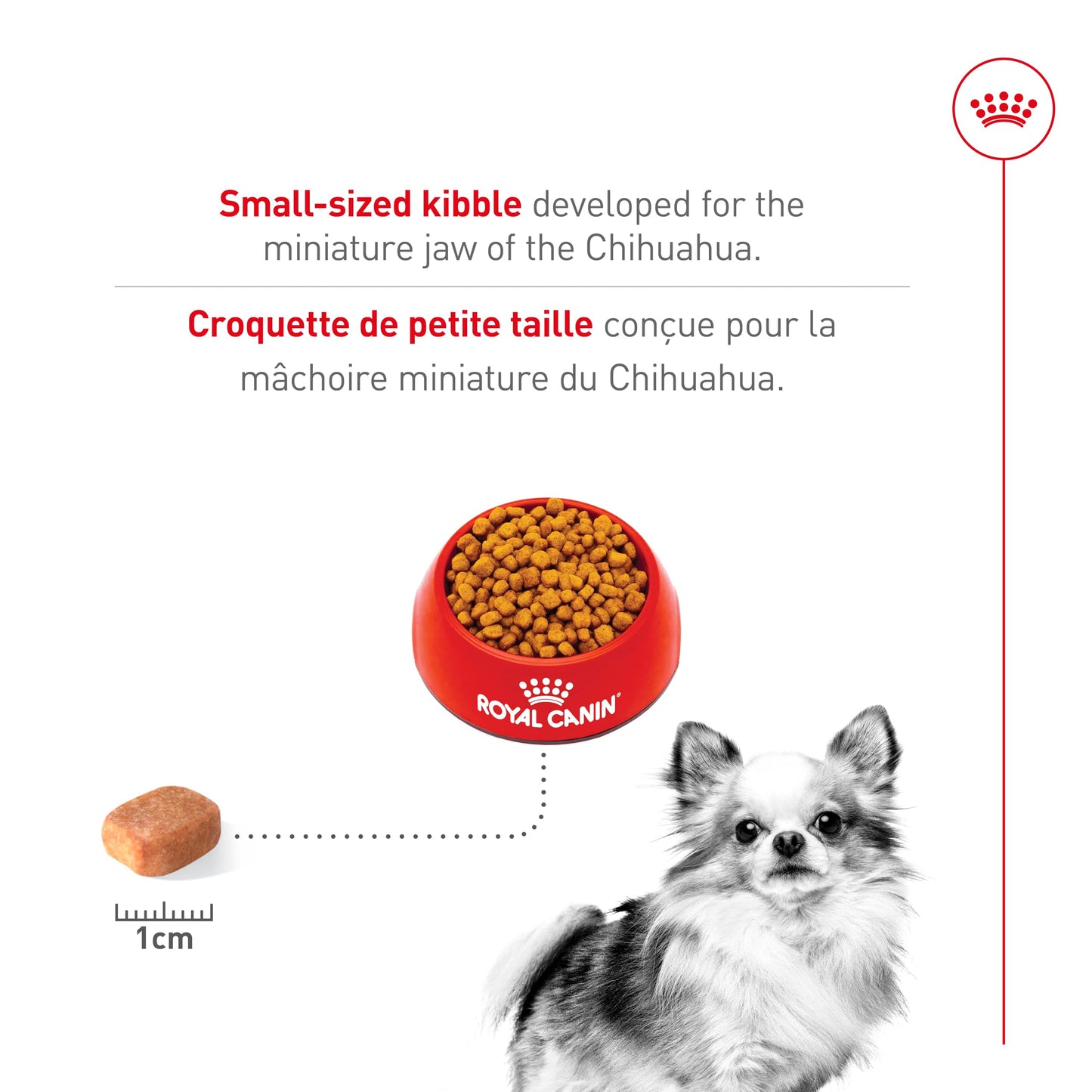 Royal Canin Chihuahua Adult Dry Dog Food, 10 lb bag ROYAL CANIN