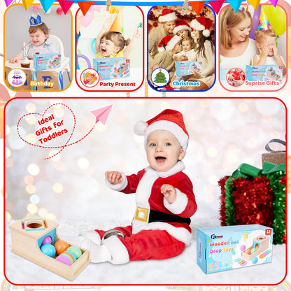 FCSONU Toddlers Montessori Ball & Coin Box Toys for 1 2 3 Year Old Boy Girl 🍁 All In One Marketplace Canada