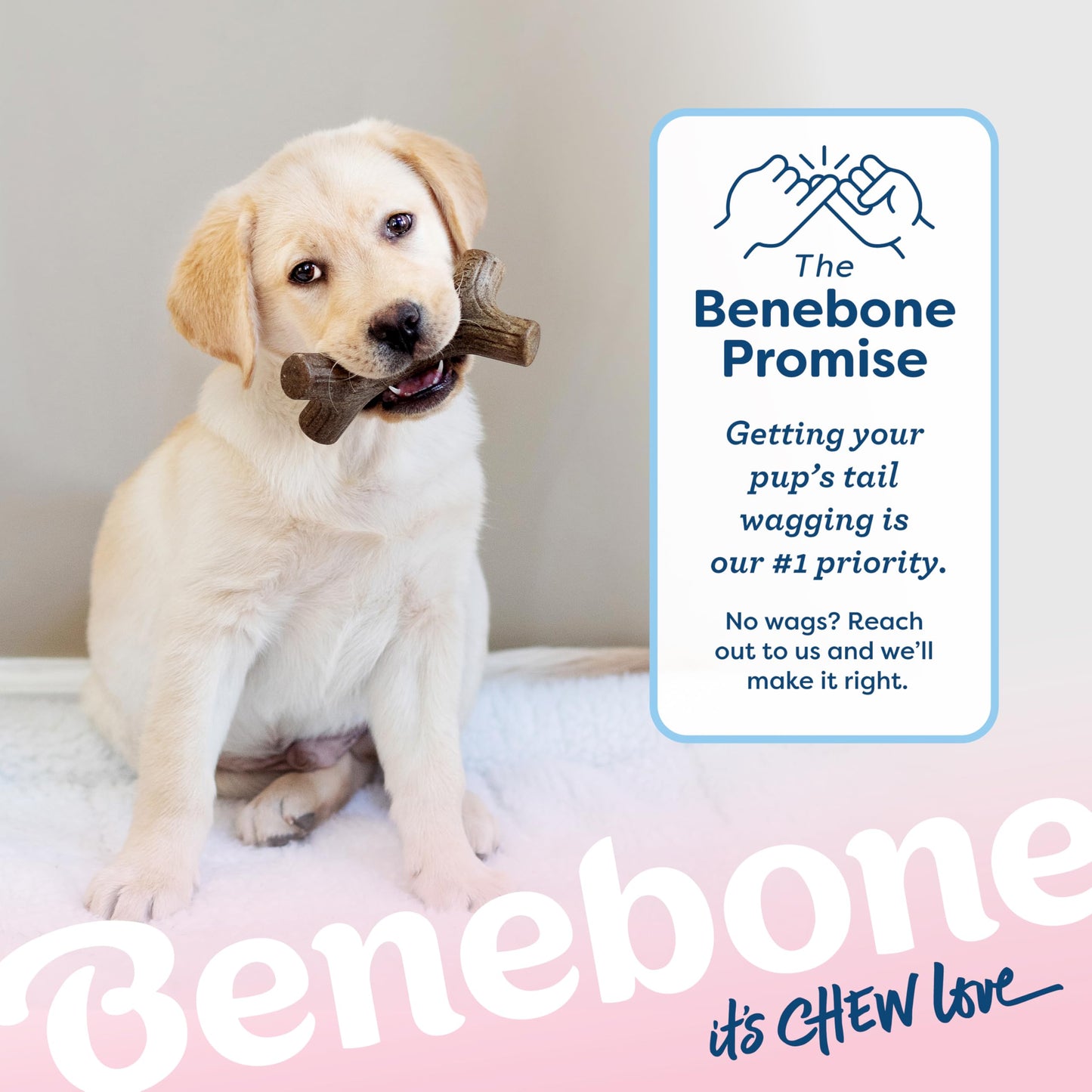 Benebone Puppy 4-Pack Dog Chew Toys for Gentle Chewers, Dog Bones, Small