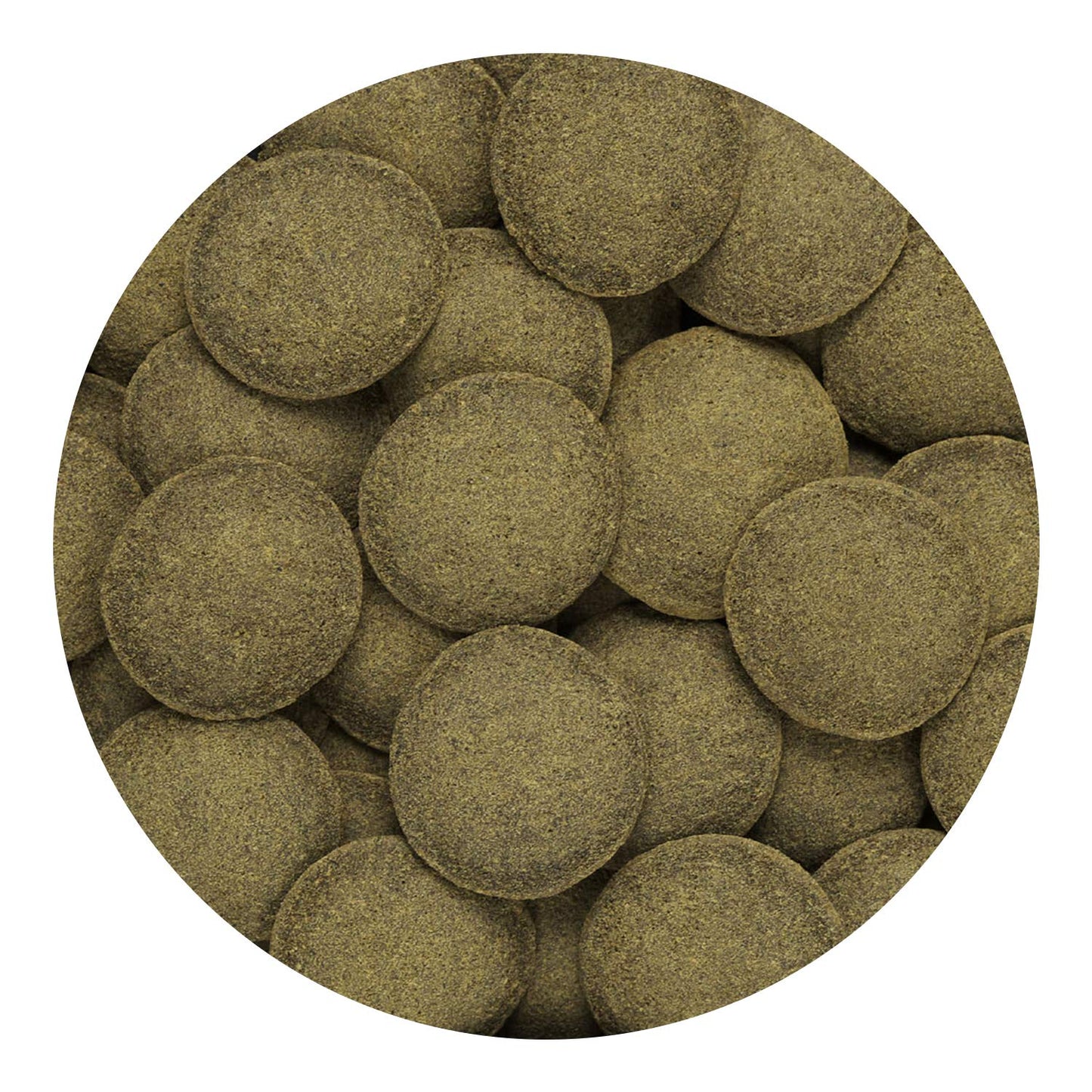 Hikari Tropical Algae Wafers Fish Food for Plecostomus & Algae Eaters, 8.8 oz (250g) Hikari