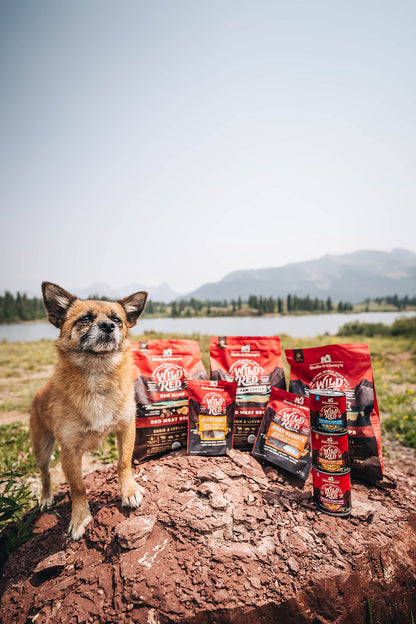 Stella & Chewy's Wild Red Dry Dog Food Raw Blend High Protein Grain & Legume Free Red Meat Recipe, 1.58kg Bag Stella & Chewy's