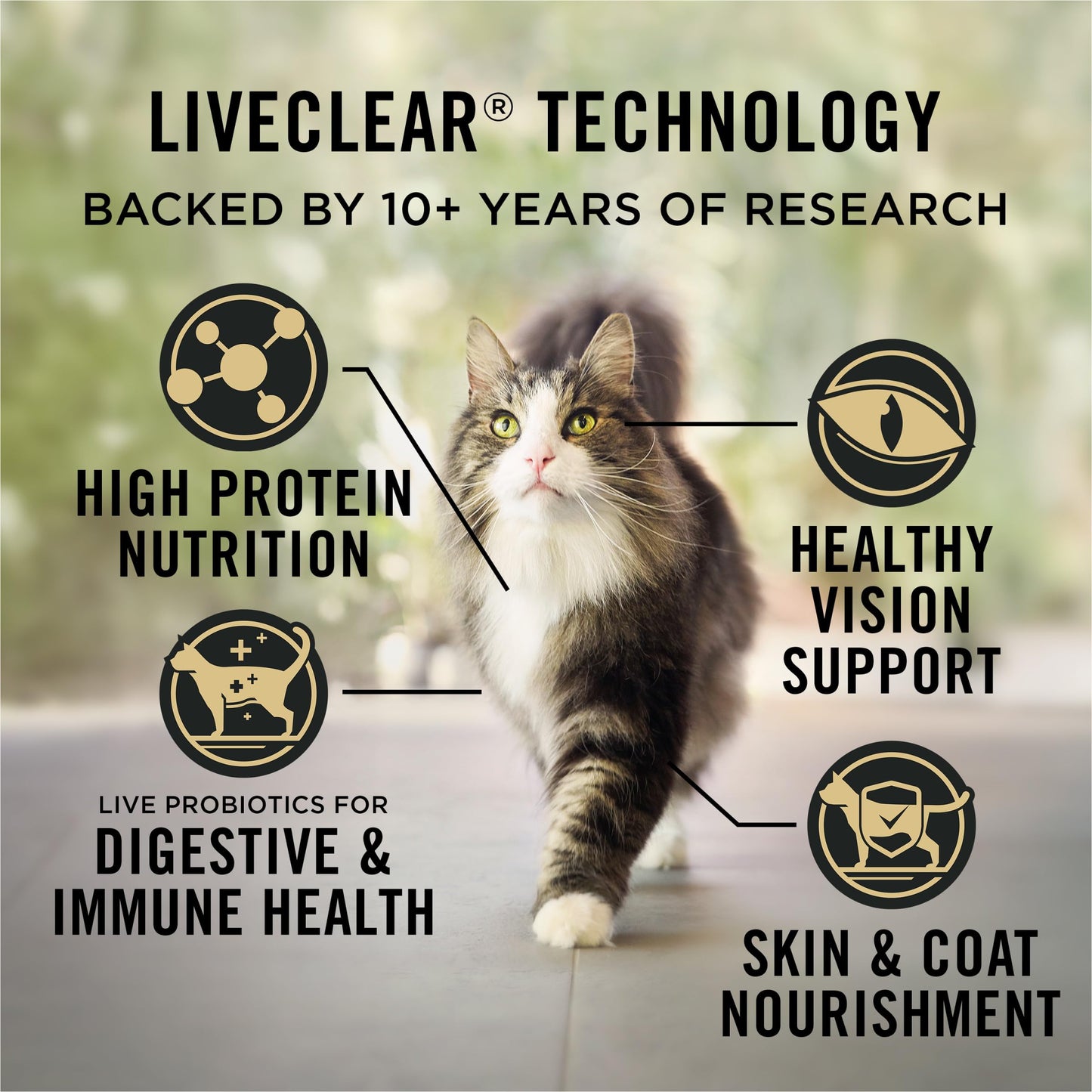 Purina Pro Plan LiveClear Allergen Reducing Dry Cat Food, Salmon & Rice 7.26kg 🍁 All In One Marketplace Canada