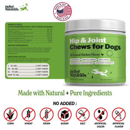 Deley Naturals Hip and Joint Supplement for Dogs - Glucosamine Chondroitin MSM & Collagen for Dogs - Dog Joint Supplement, Smaller Chews, Low Calories, Same Ingredients - 120 Chicken Flavor Chews