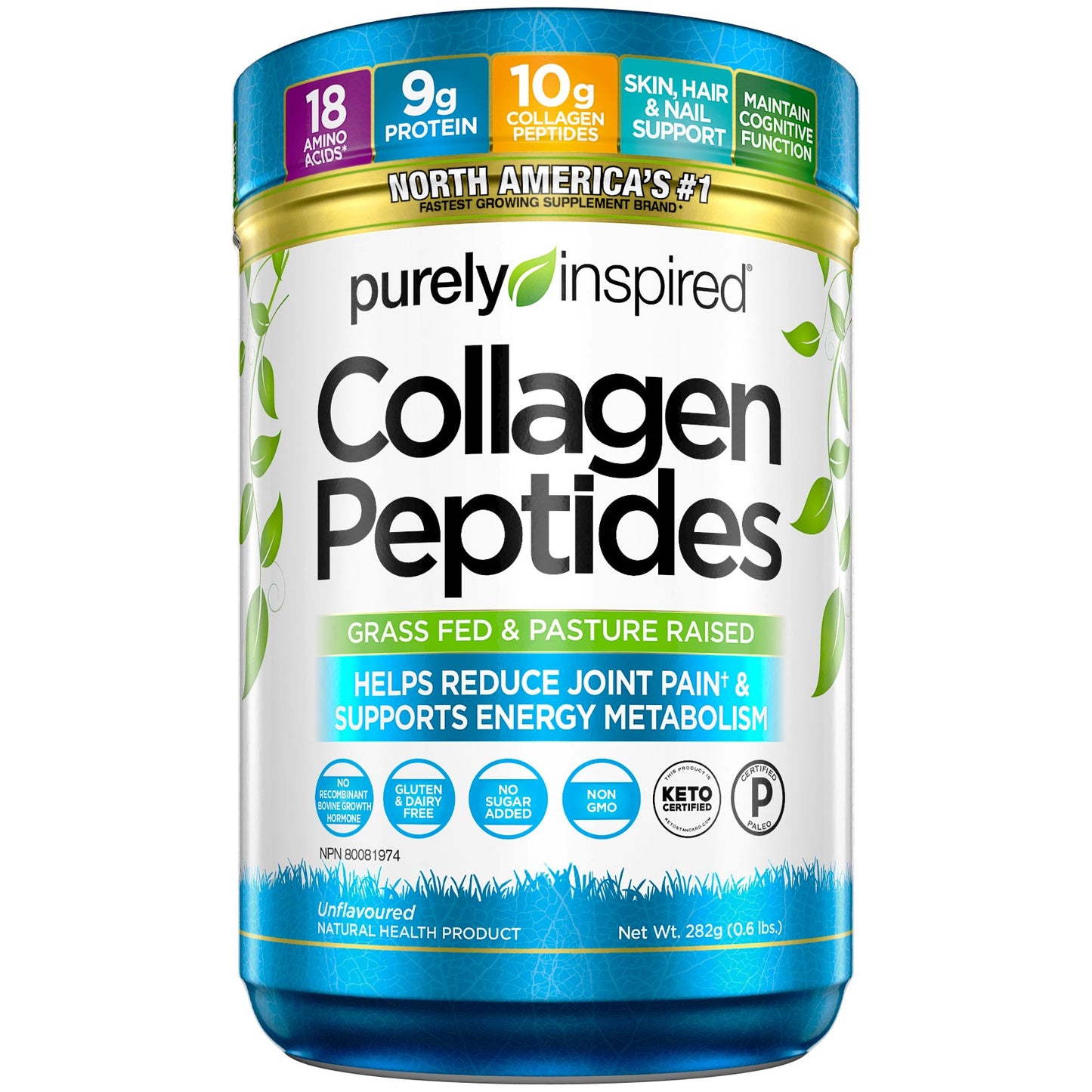 Purely Inspired Collagen Peptides Powder for Women & Men (Unflavoured) - Paleo & Keto-Friendly Supplement for Healthy Skin & Hair - Grass-Fed & Pasture Raised - 282g, 28 Servings (Pack of 1) - Available at All In One Marketplace Canada