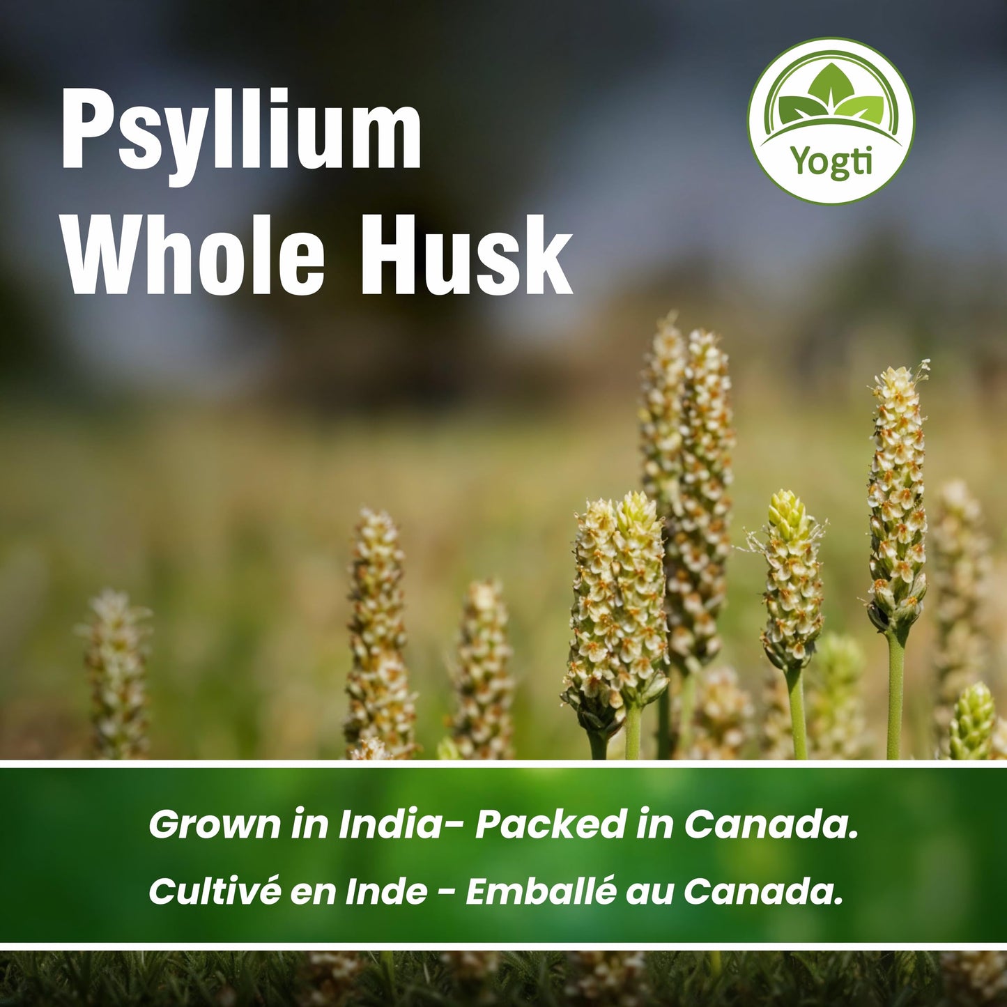 Yogti Whole Psyllium Husk, 912 g