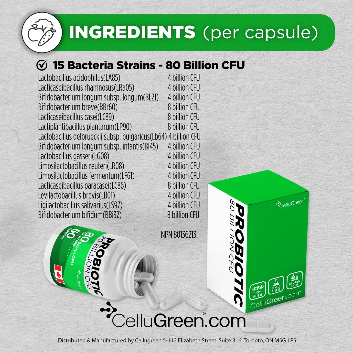 CelluGreen Probiotics 80 Billion CFU for Men & Women – 15 Strains – Digestive & Gut Health Support – Bloating & Gas Relief – Shelf Stable, Vegan, Non-GMO – 60 Capsules - Available at All In One Marketplace Canada