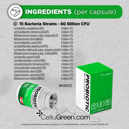 CelluGreen Probiotics 80 Billion CFU for Men & Women – 15 Strains – Digestive & Gut Health Support – Bloating & Gas Relief – Shelf Stable, Vegan, Non-GMO – 60 Capsules - Available at All In One Marketplace Canada