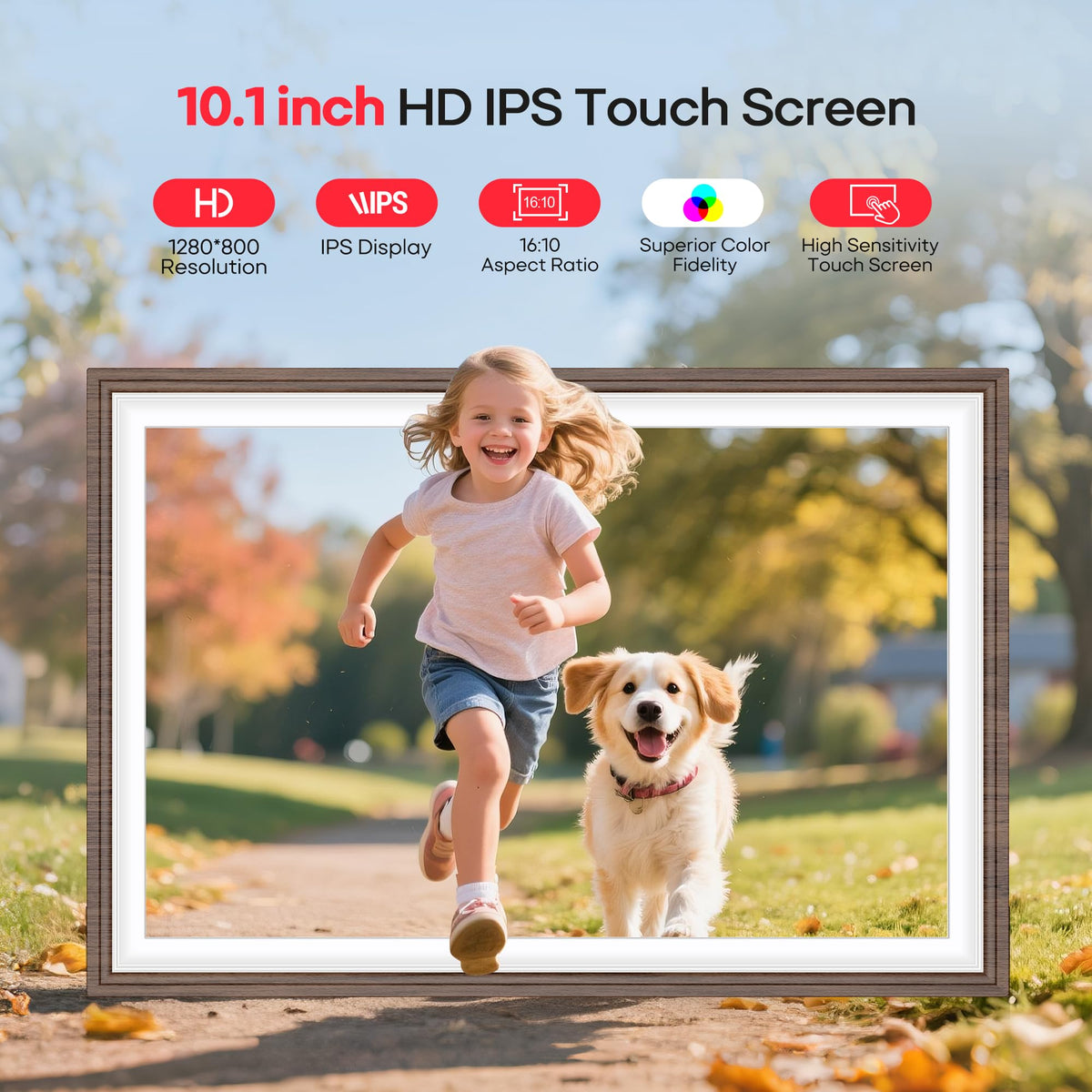 Frameo 10.1" Digital Picture Frame 32GB Storage WiFi Electronic Photo Frame 🍁 All In One Marketplace Canada