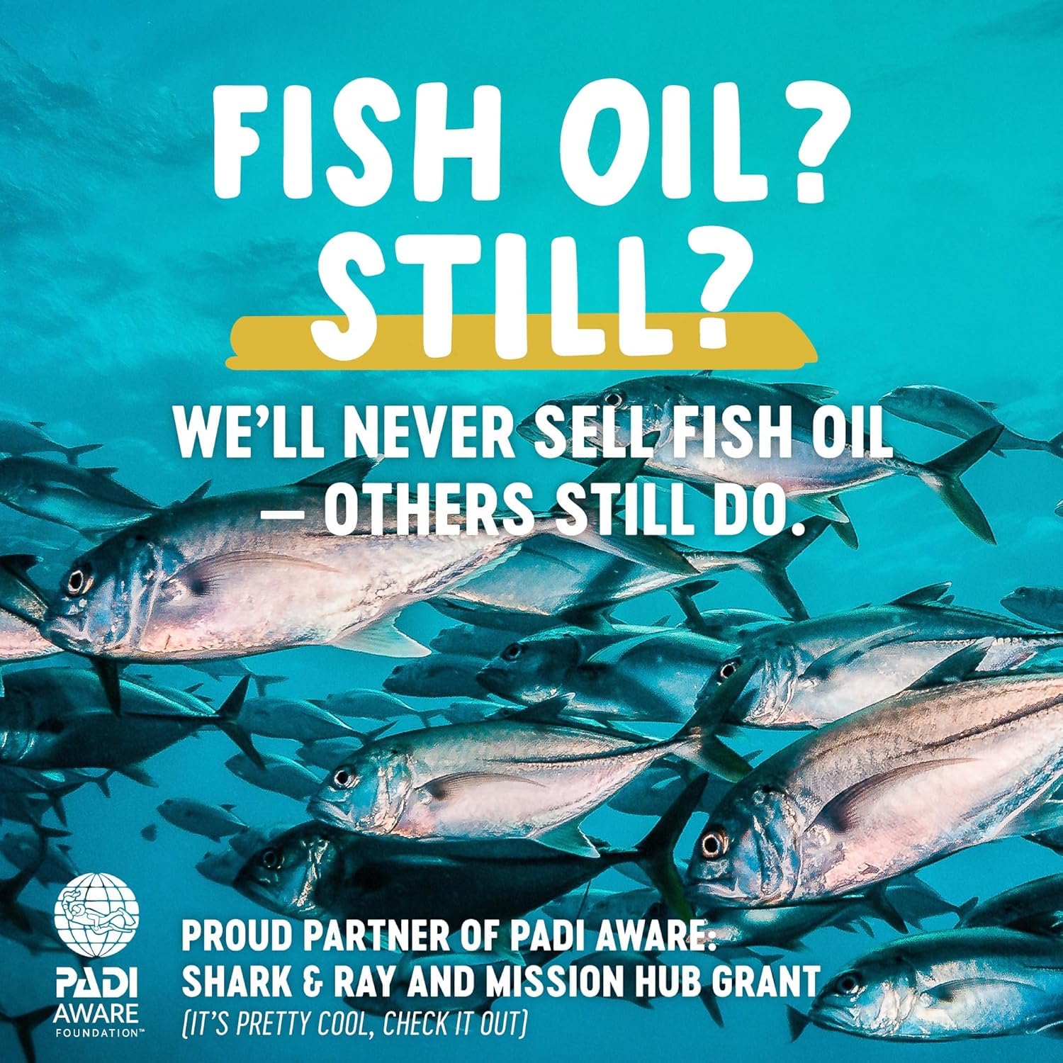 Freshfield Vegan Omega 3, Algae (Algal) Oil, Fish Oil Free Company, Third Party Tested, Carrageenan Free, DHA Supplement w/DPA, Plant Based Omega. Supports Heart, Brain, Joint Health - Available at All In One Marketplace Canada