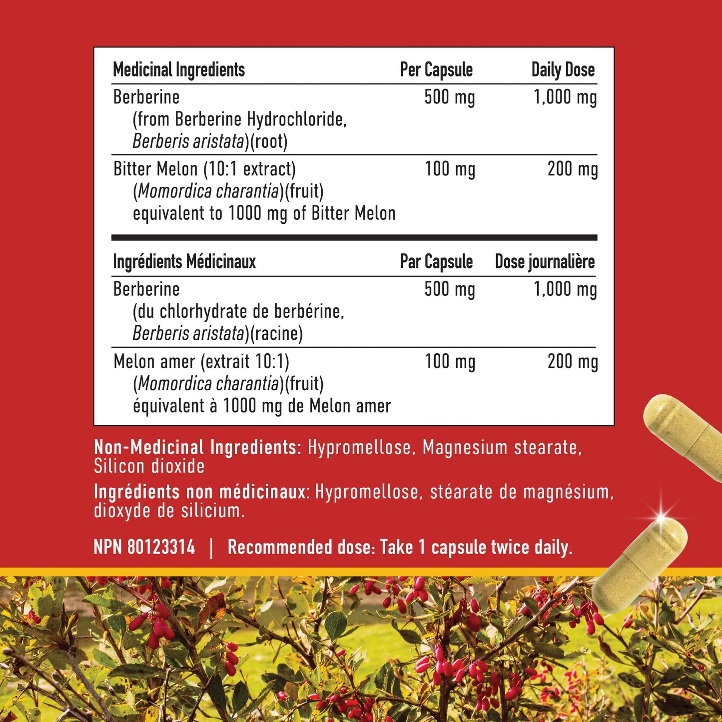Berberine HCL Supplement | 1000mg | High Potency | Support Glucose Metabolism & Cardiovascular Health | 500mg Per Capsule | With Bitter Melon | Non-GMO, Third-Party Tested | 90 Ct. (45-Day Supply) - Available at All In One Marketplace Canada