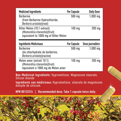 Berberine HCL Supplement | 1000mg | High Potency | Support Glucose Metabolism & Cardiovascular Health | 500mg Per Capsule | With Bitter Melon | Non-GMO, Third-Party Tested | 90 Ct. (45-Day Supply) - Available at All In One Marketplace Canada