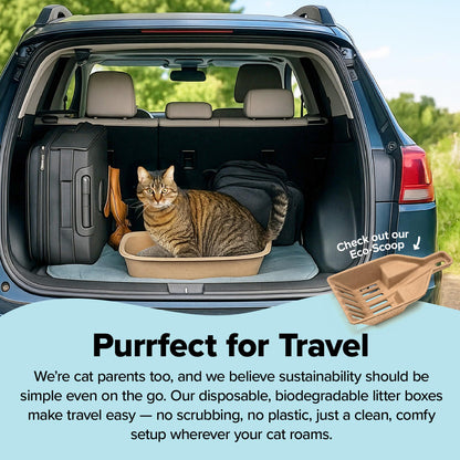 Kitty Sift Disposable Cat Litter Box Large, 6 Count, Durable Portable for Travel and Home, Eco-Friendly Disposable Litter Box Controls Odor Kitty Sift