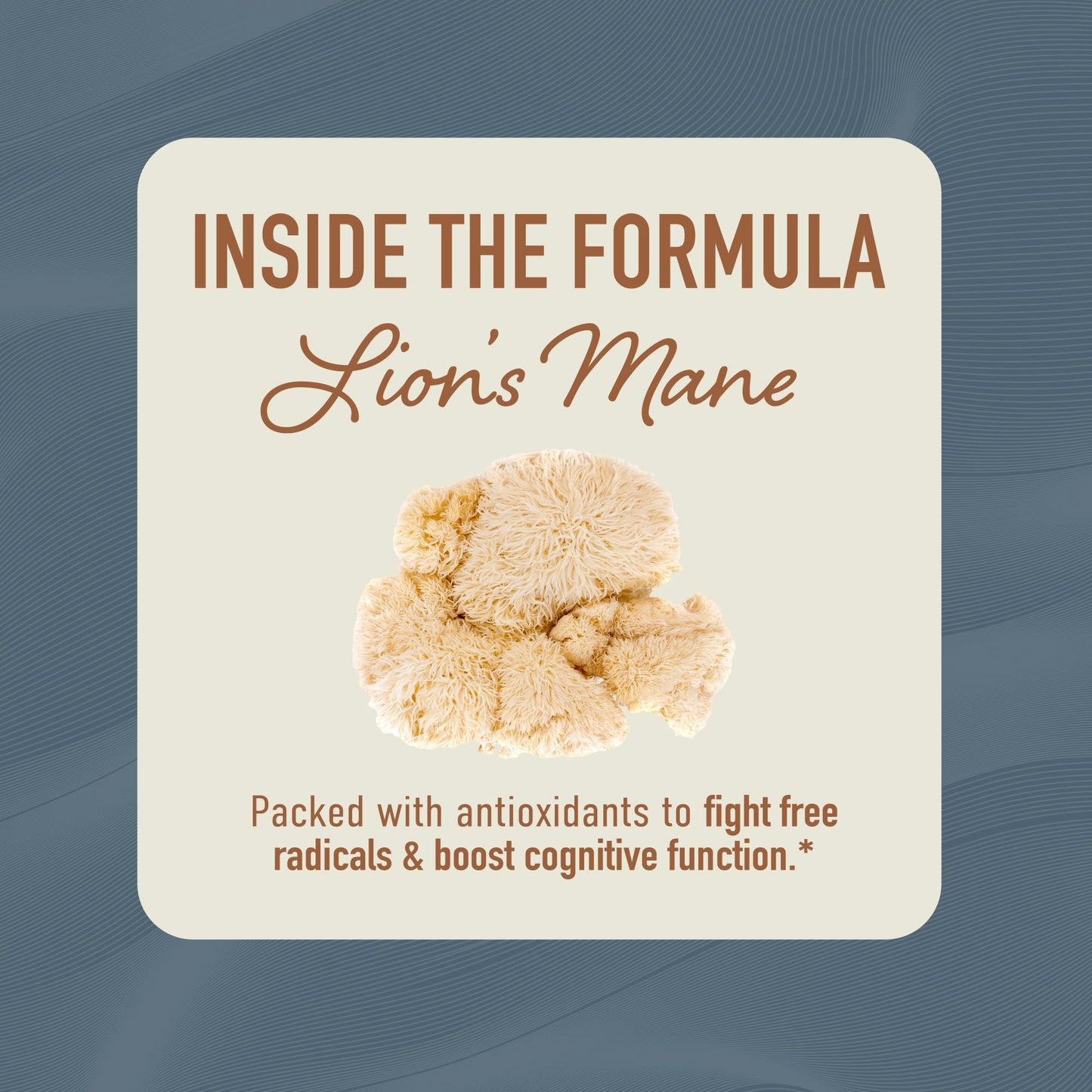 Lion’s Mane Supplement & Nootropic for Mental Clarity | 4 Month Supply | Performance & Memory Support | Antioxidant Rich & Immunomodulating Mushroom | Extra Strength Lions Mane 500mg | Non-GMO 120ct - Available at All In One Marketplace Canada