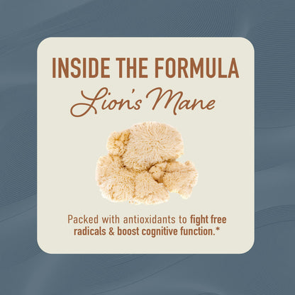 Lion’s Mane Supplement & Nootropic for Mental Clarity | 4 Month Supply | Performance & Memory Support | Antioxidant Rich & Immunomodulating Mushroom | Extra Strength Lions Mane 500mg | Non-GMO 120ct - Available at All In One Marketplace Canada