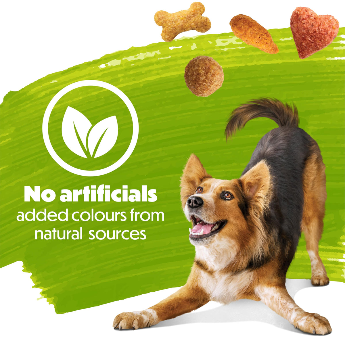 Beneful Healthy Weight Dry Dog Food, Real Chicken - 7 kg Bag