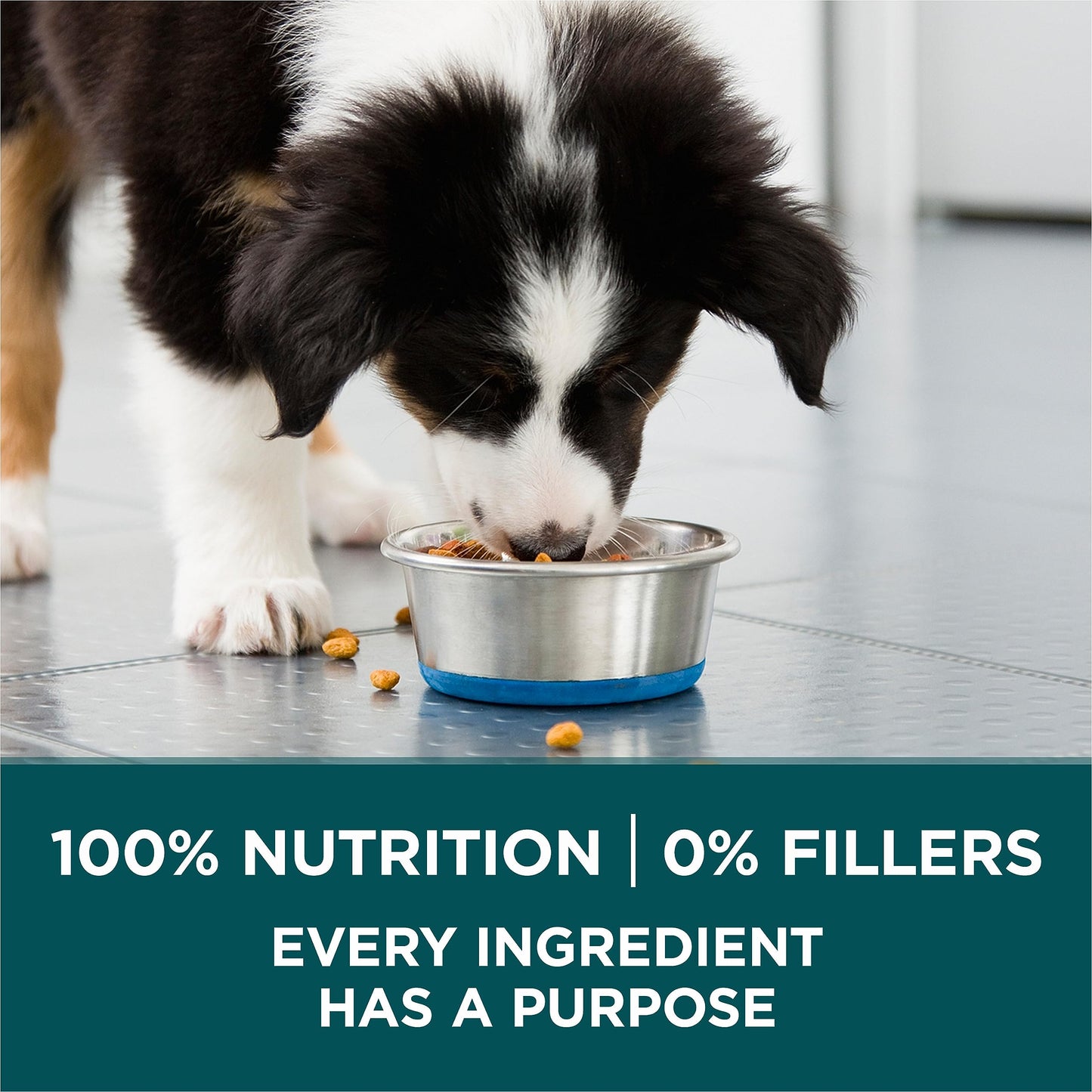 Purina ONE +Plus Large Breed Dry Puppy Food with Chicken - 14 kg Bag - Available at All In One Marketplace Canada