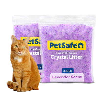 PetSafe ScoopFree Lavender Non-Clumping Crystal Cat Litter, Lightly Scented Litter – Superior Odor Control – Low Tracking for Less Mess – Lasts Up to 1 Month, 8.6 Lbs Total (2 Pack of 4.3 Lb Bags)