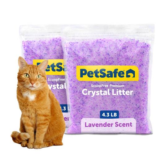 PetSafe ScoopFree Lavender Non-Clumping Crystal Cat Litter, Lightly Scented Litter – Superior Odor Control – Low Tracking for Less Mess – Lasts Up to 1 Month, 8.6 Lbs Total (2 Pack of 4.3 Lb Bags)