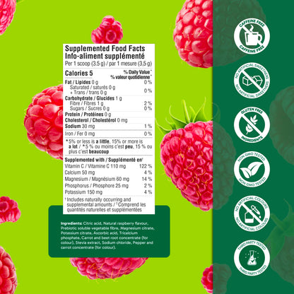 Organika Canadian-Made Electrolytes Powder | Wild Raspberry Flavour - 350g, 100 servings