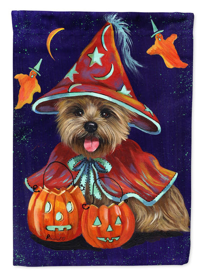 Drapeau de jardin extérieur Caroline's Treasures PPP3061GF Cairn Terrier sorcière d'Halloween, multicolore