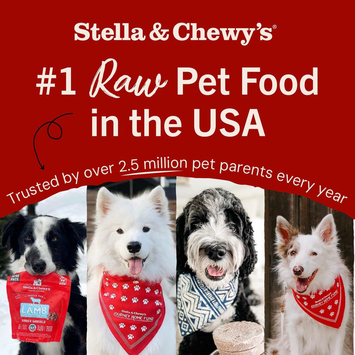 Stella & Chewy’s Freeze Dried Raw Super Beef Meal Mixer – Dog Food Topper for Small & Large Breeds – Grain Free, Protein Rich Recipe – 227g Bag