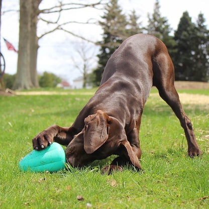 Chew King Premium Treat Dog Toy, XL, Extremely Durable Natural Rubber Toy, Pack of 2, All Breed Sizes Chew King