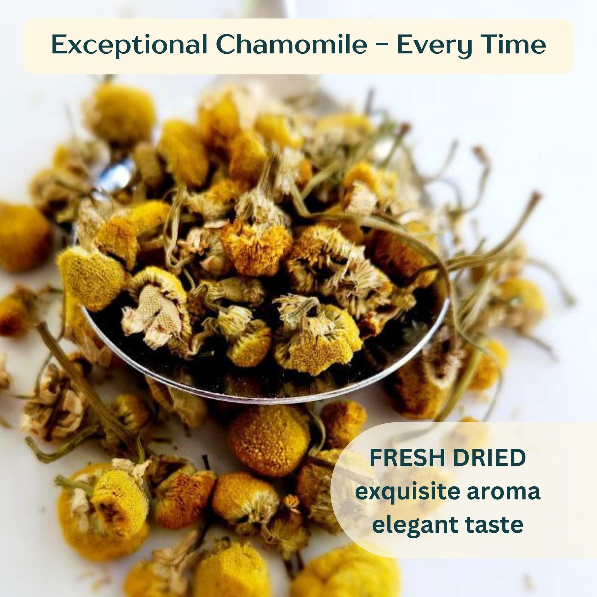 Dragonfly Herbs Organic Chamomile Tea – 250g Loose Whole Flowers, German Matricaria Chamomilla