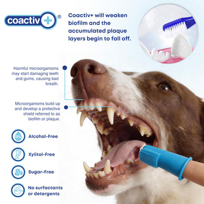 bluestem Cat and Dog Toothpaste – Scientifically Formulated Coactiv+ Pet Toothpaste Helps Reduce Plaque & Tartar, Freshens Breath, and Promotes Daily Dog and Cat Oral Care – Chicken Flavor (70g)