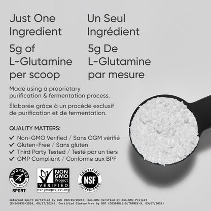 Sports Research® L-Glutamine Powder - Workout Recovery Support, Immune Health & Gut Health Support - Easy to Mix Powder - 5g Per Serving - 300g Container Size for Daily Supplement Use - Available at All In One Marketplace Canada