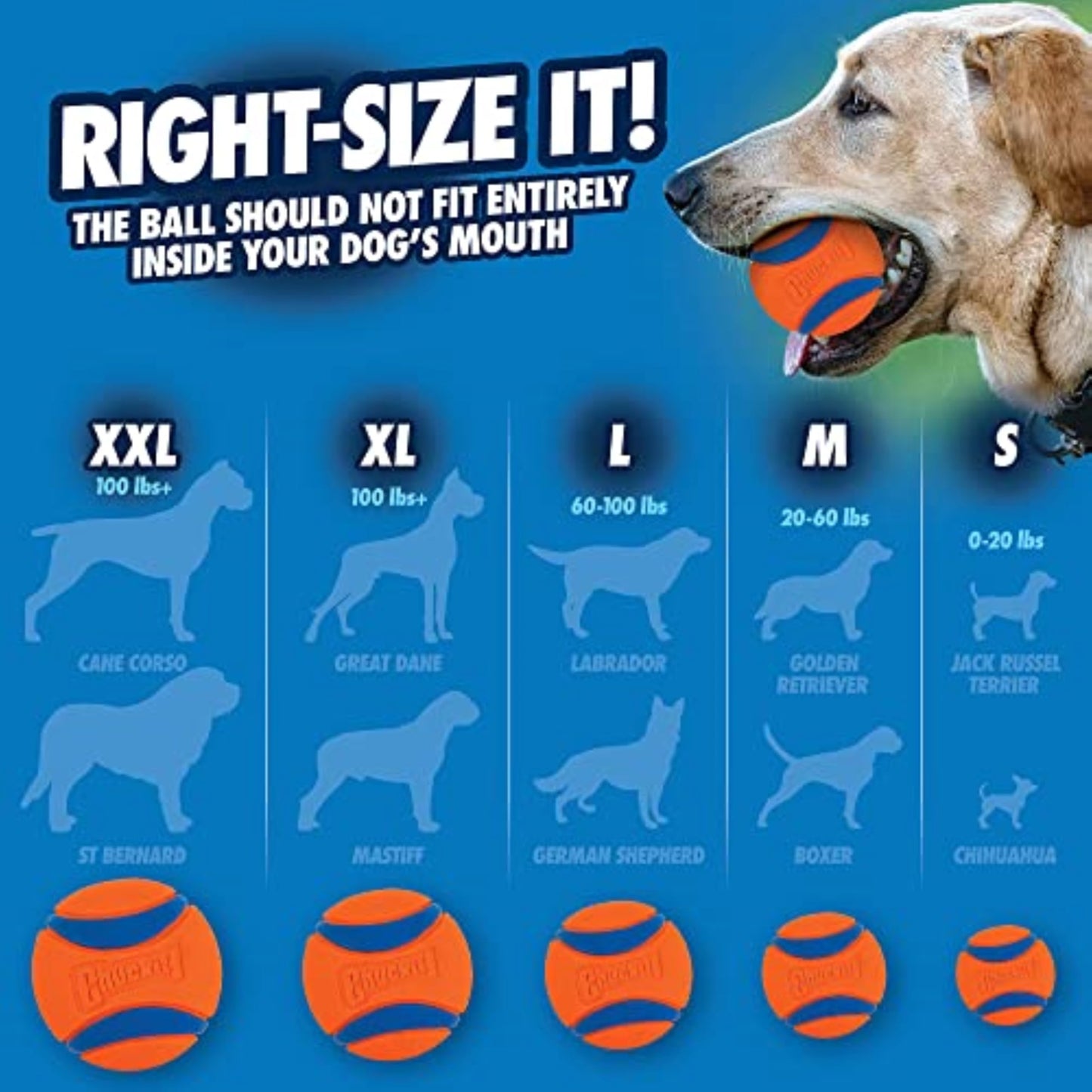 Chuckit! Ultra Ball Fetch Toy for Dogs, Medium Size 8 Pack with Cleaning Bucket Chuckit!