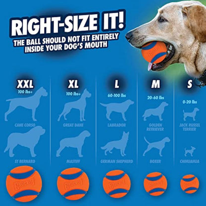Chuckit! Ultra Ball Fetch Toy for Dogs, Medium Size 8 Pack with Cleaning Bucket Chuckit!