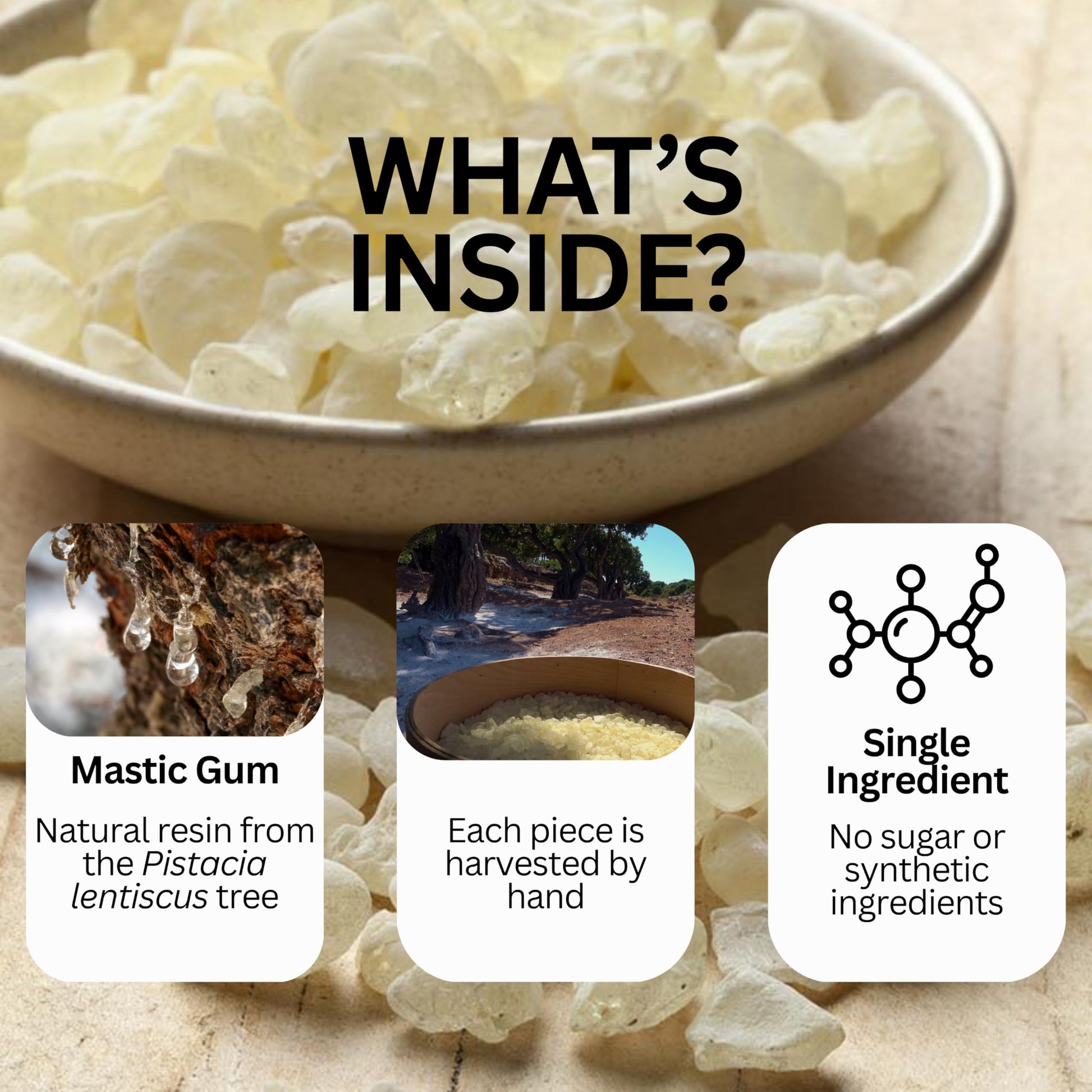 Martyr & Myth Mastic Gum – 40g Pure Greek Resin from Chios | Natural, Sugar-Free Plant-Based Chewing Gum