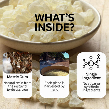 Martyr & Myth Mastic Gum – 40g Pure Greek Resin from Chios | Natural, Sugar-Free Plant-Based Chewing Gum