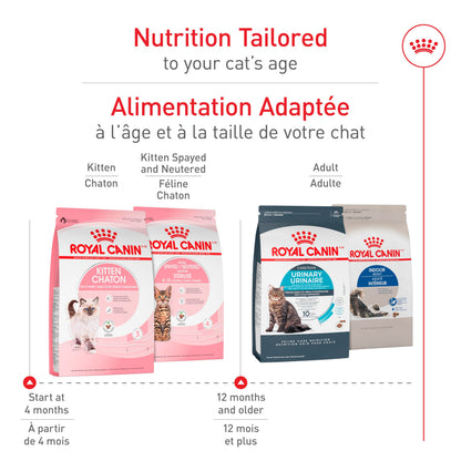 Royal Canin Feline Health Nutrition Dry Kitten Food, Supports Digestive Health, Immune Support and Healthy Energy, 14 lb Bag 🍁 All In One Marketplace Canada
