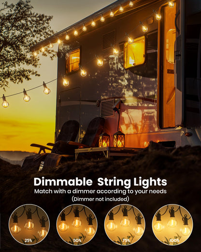 Outdoor String Lights 25 Feet G40 Globe LEDs Patio Lights with 13 Edison LED Bulbs(1 Spare), Waterproof Connectable Hanging Light for Backyard Porch Balcony Party Decor, E12 Socket Base, Black