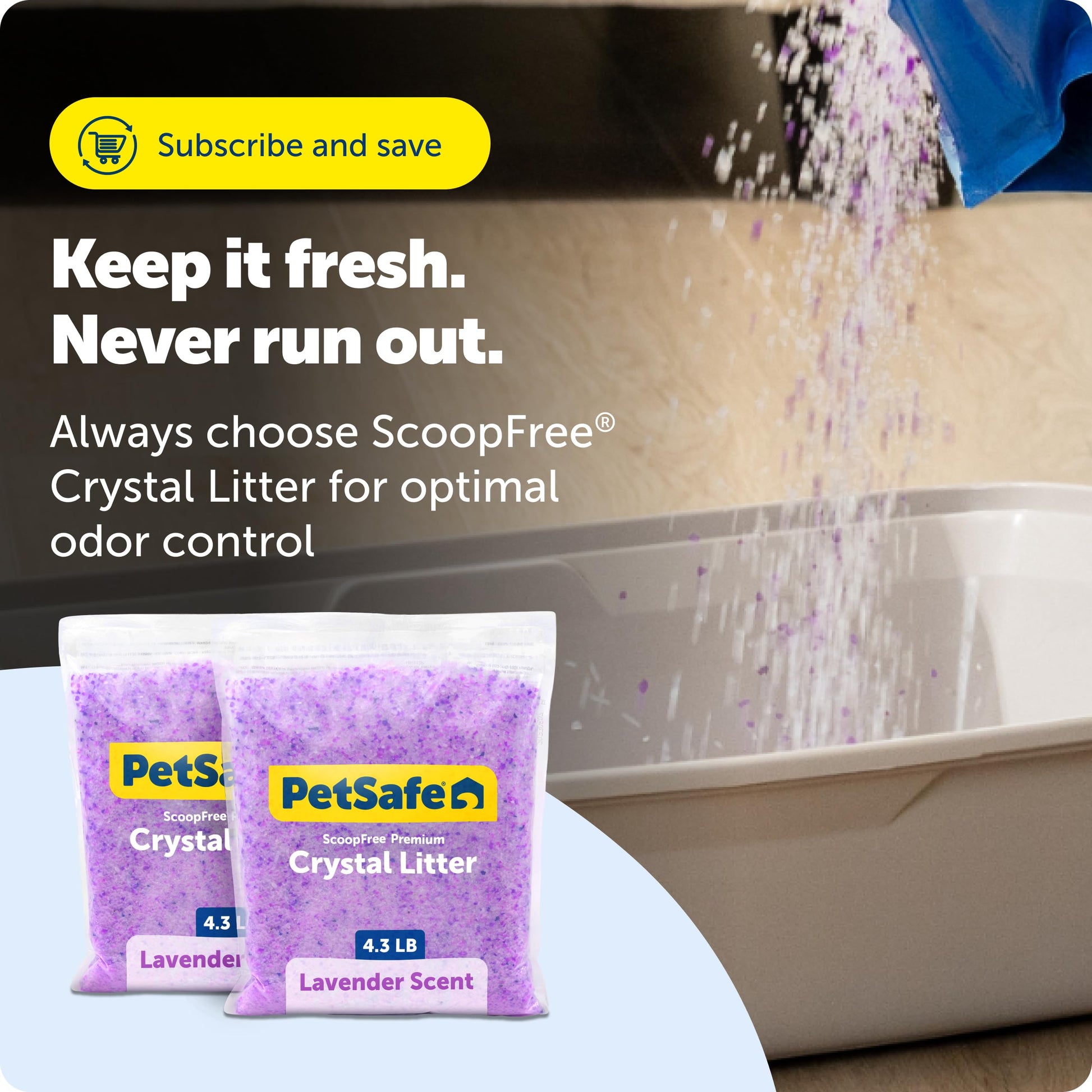 PetSafe ScoopFree Lavender Non-Clumping Crystal Cat Litter, Lightly Scented Litter – Superior Odor Control – Low Tracking for Less Mess – Lasts Up to 1 Month, 8.6 Lbs Total (2 Pack of 4.3 Lb Bags)
