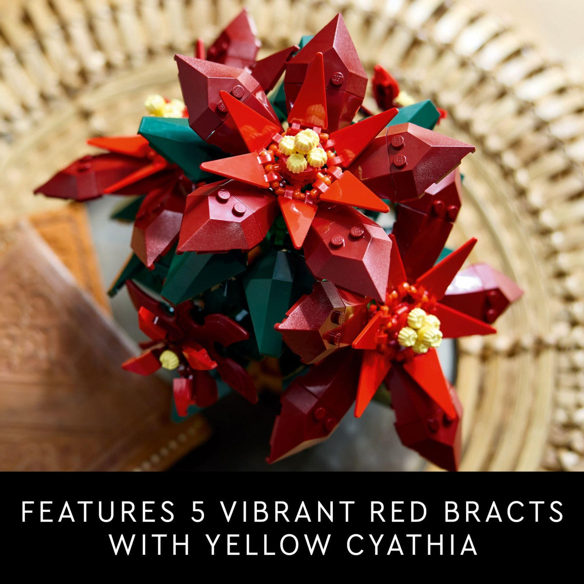 LEGO Icons Poinsettia Building Sets for Adults - Artificial Flowers for Decoration - Festive Holiday Flowers for Table Centerpiece - 10370 🍁 All In One Marketplace Canada