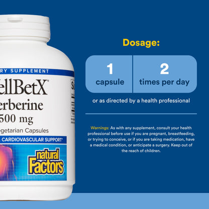 Natural Factors - WellBetX Berberine 500 mg, 120 capsules - Available at All In One Marketplace Canada