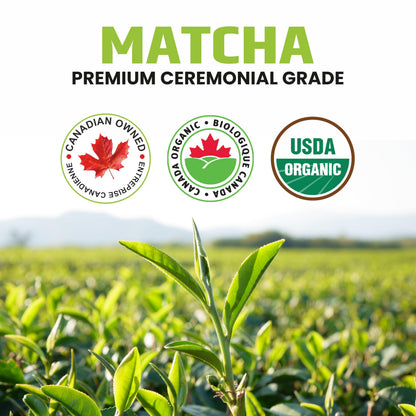Organic Matcha Green Tea Powder – Ceremonial Grade – 50g Tin | Premium Japanese Green Tea | Smooth & Vibrant | Superfood for Lattes, Smoothies & Baking