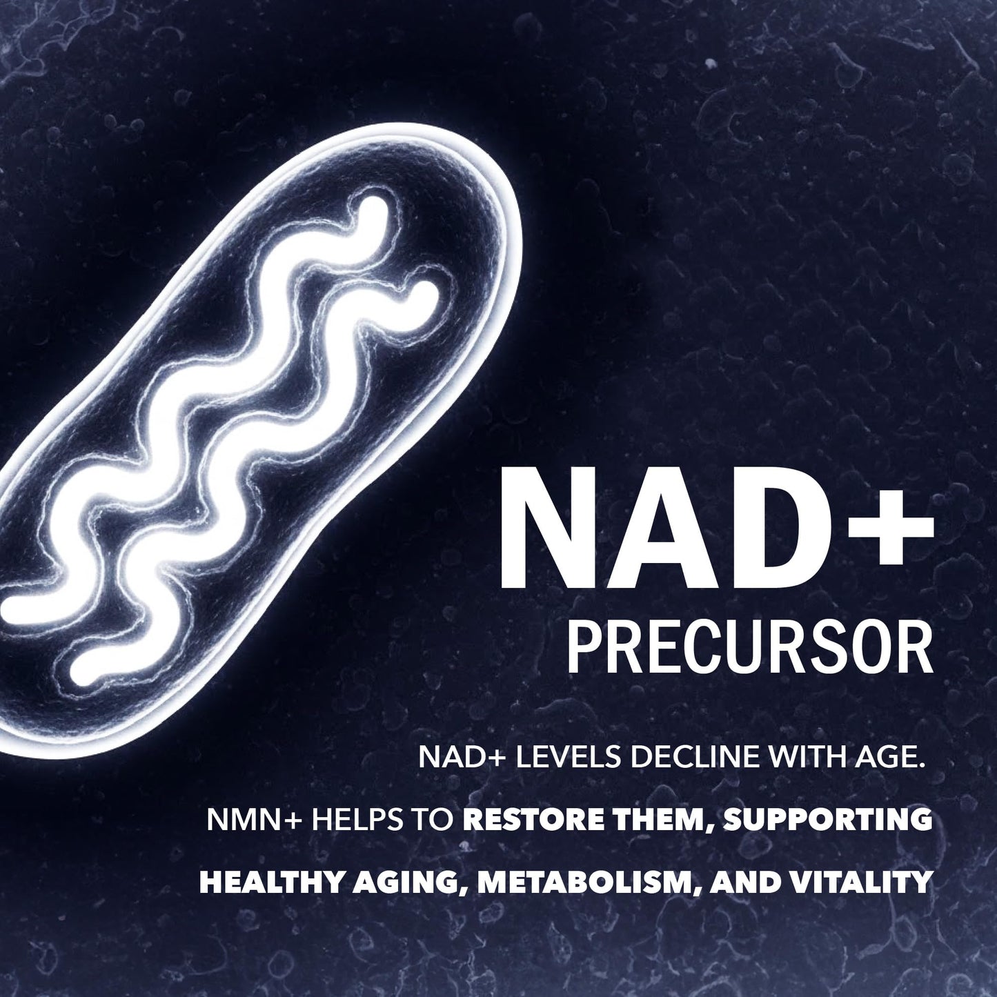 NMN Supplement 1200mg | Extra Strength | NAD+ Precursor for Healthy Aging, Cellular Energy & Longevity Support | 99% Purity | NMN Supplement Canada Made, Third-Party Tested & Vegan | 60 Capsules - Available at All In One Marketplace Canada