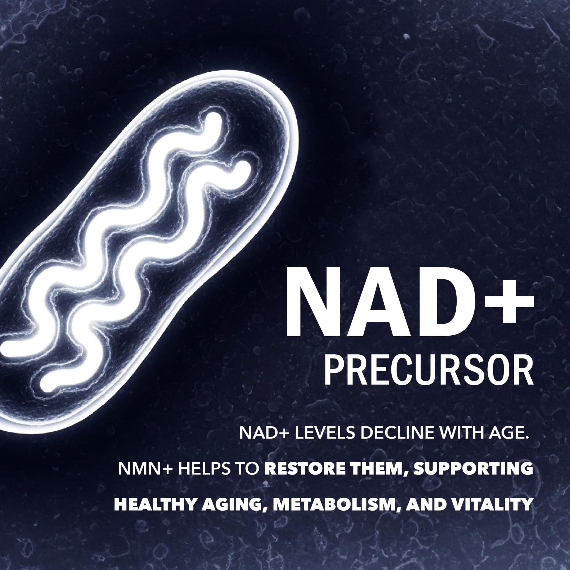 NMN Supplement 1200mg | Extra Strength | NAD+ Precursor for Healthy Aging, Cellular Energy & Longevity Support | 99% Purity | NMN Supplement Canada Made, Third-Party Tested & Vegan | 60 Capsules - Available at All In One Marketplace Canada