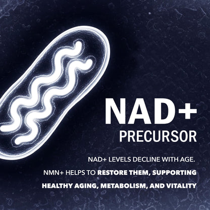 NMN Supplement 1200mg | Extra Strength | NAD+ Precursor for Healthy Aging, Cellular Energy & Longevity Support | 99% Purity | NMN Supplement Canada Made, Third-Party Tested & Vegan | 60 Capsules - Available at All In One Marketplace Canada