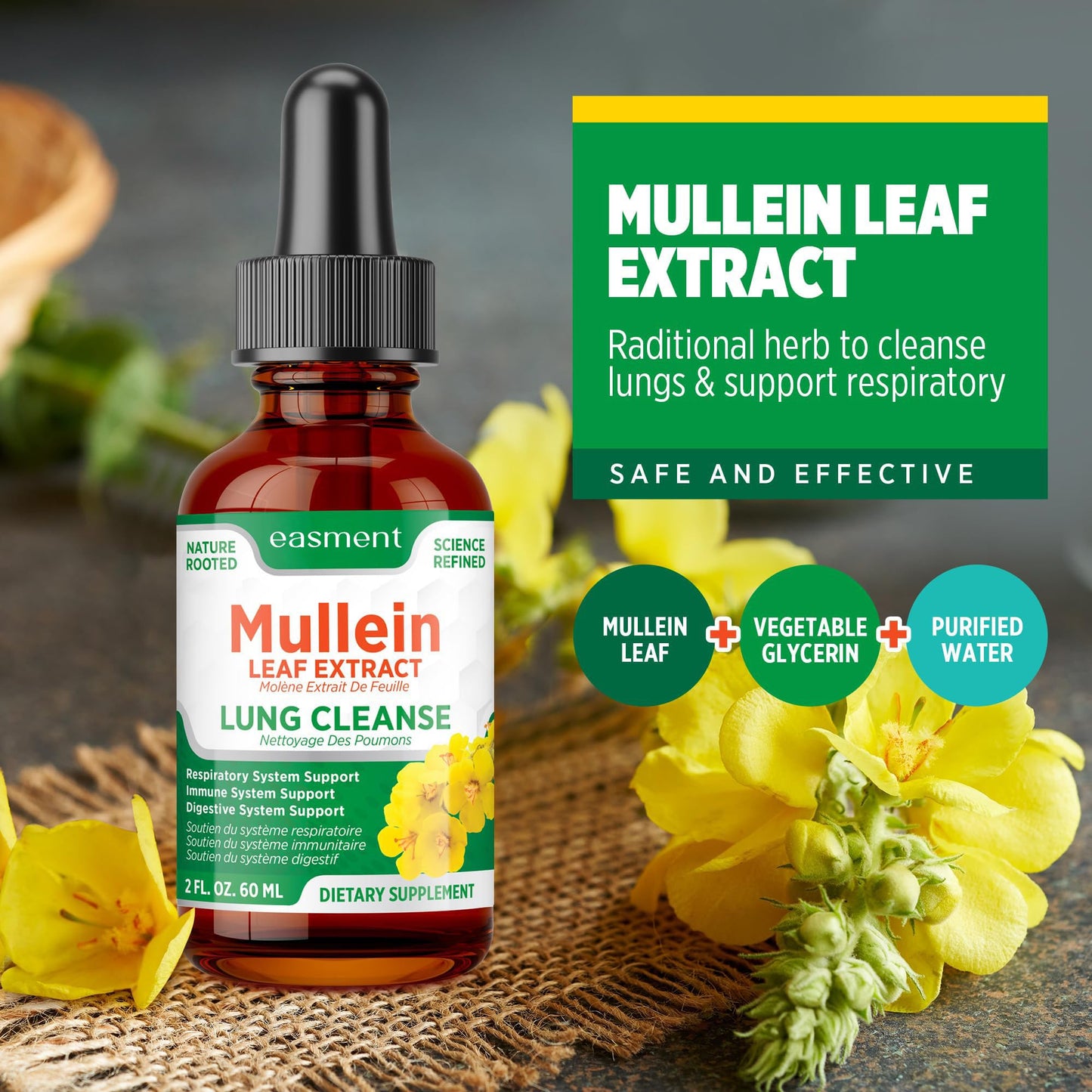 Easement Gouttelettes d'extrait de Molène pour les poumons – Complément à base de plantes pour le nettoyage des poumons, le soulagement du mucus et des mucosités – Liquide sans alcool