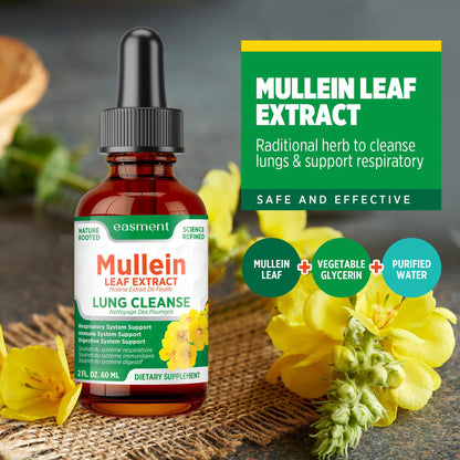 Easement Gouttelettes d'extrait de Molène pour les poumons – Complément à base de plantes pour le nettoyage des poumons, le soulagement du mucus et des mucosités – Liquide sans alcool