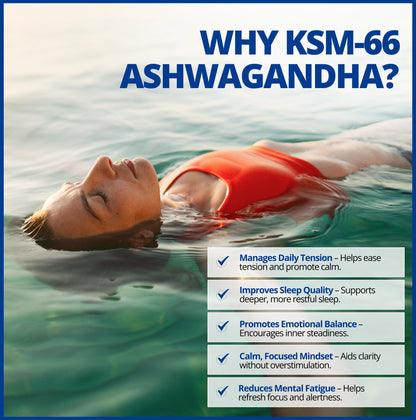 CanPrev Ashwagandha 600mg Vegan 60 Capsules 60-Day Supply - Vegan & Non-GMO - Organic KSM-66 Formula for Enhanced Relaxation & Energy, Sleep Support, Memory Boost - Supplement for Weight Management - Available at All In One Marketplace Canada