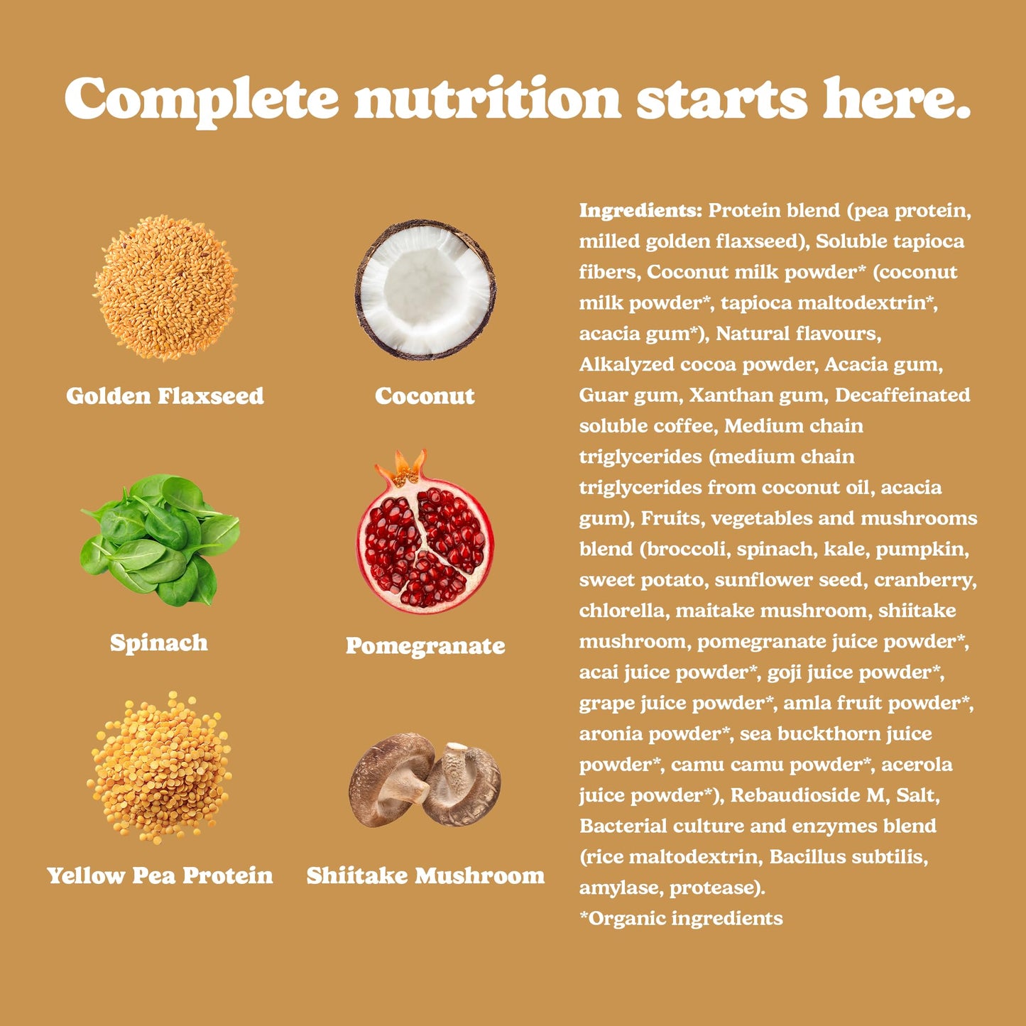 Good Protein Vegan Plant-based Protein Powder 100% Natural, Non-GMO, Dairy-free, Gluten-free, Soy-free, No Added Sugar and Nothing Artificial. Mocha All-in-One Shake 440 grams