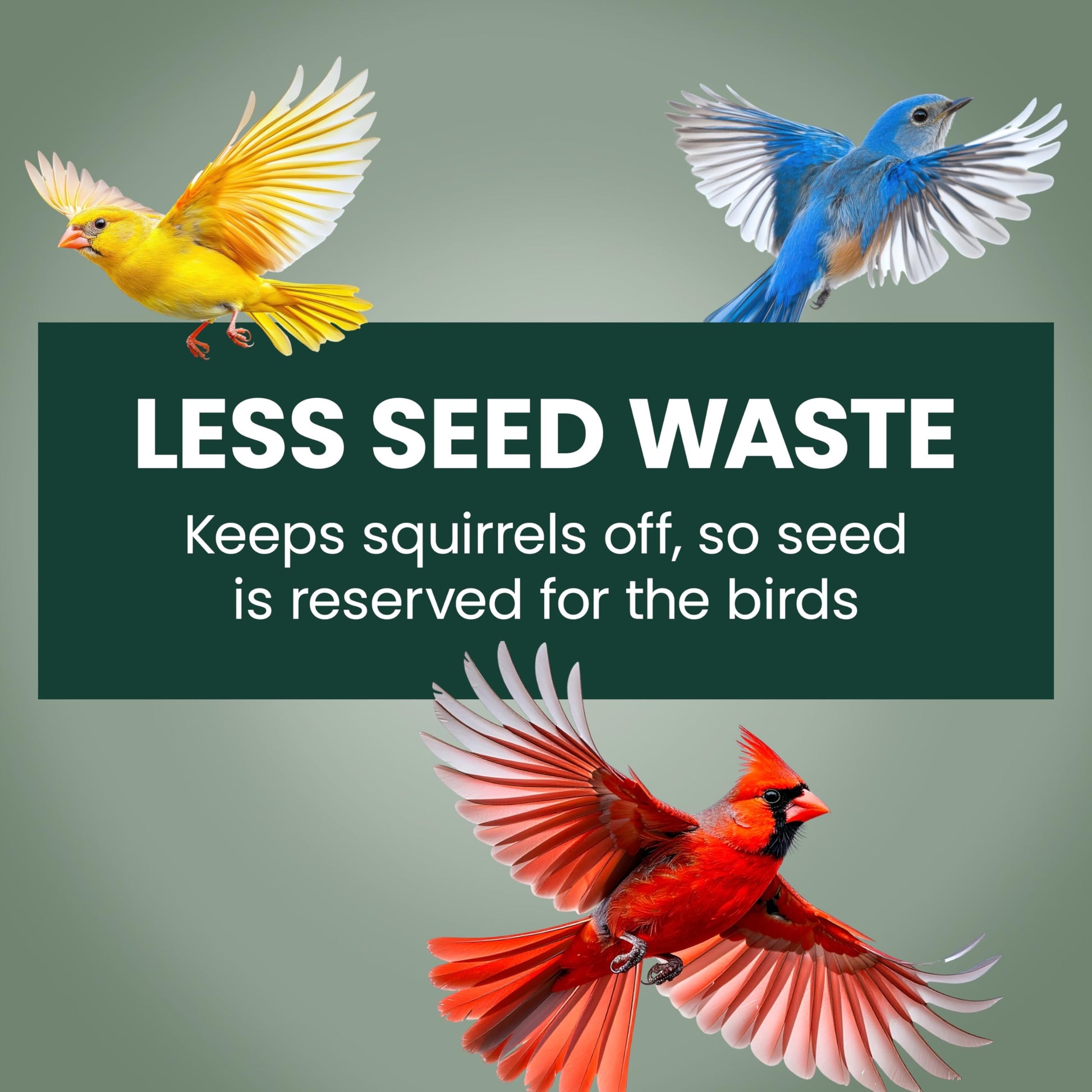 Perky-Pet 336-1SR Squirrel-Be-Gone Bird Feeder, 2LB Squirrel Proof Outdoor Wild Bird Feeder with Weight-Activated Perches