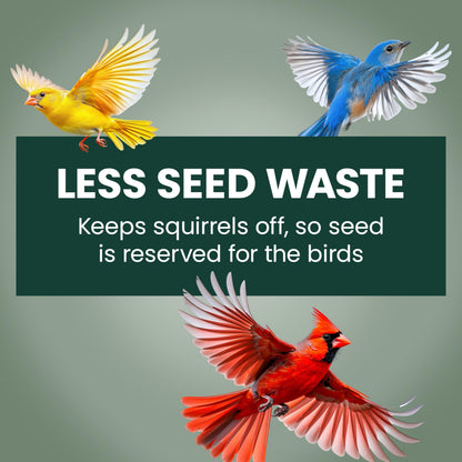 Perky-Pet 336-1SR Squirrel-Be-Gone Bird Feeder, 2LB Squirrel Proof Outdoor Wild Bird Feeder with Weight-Activated Perches