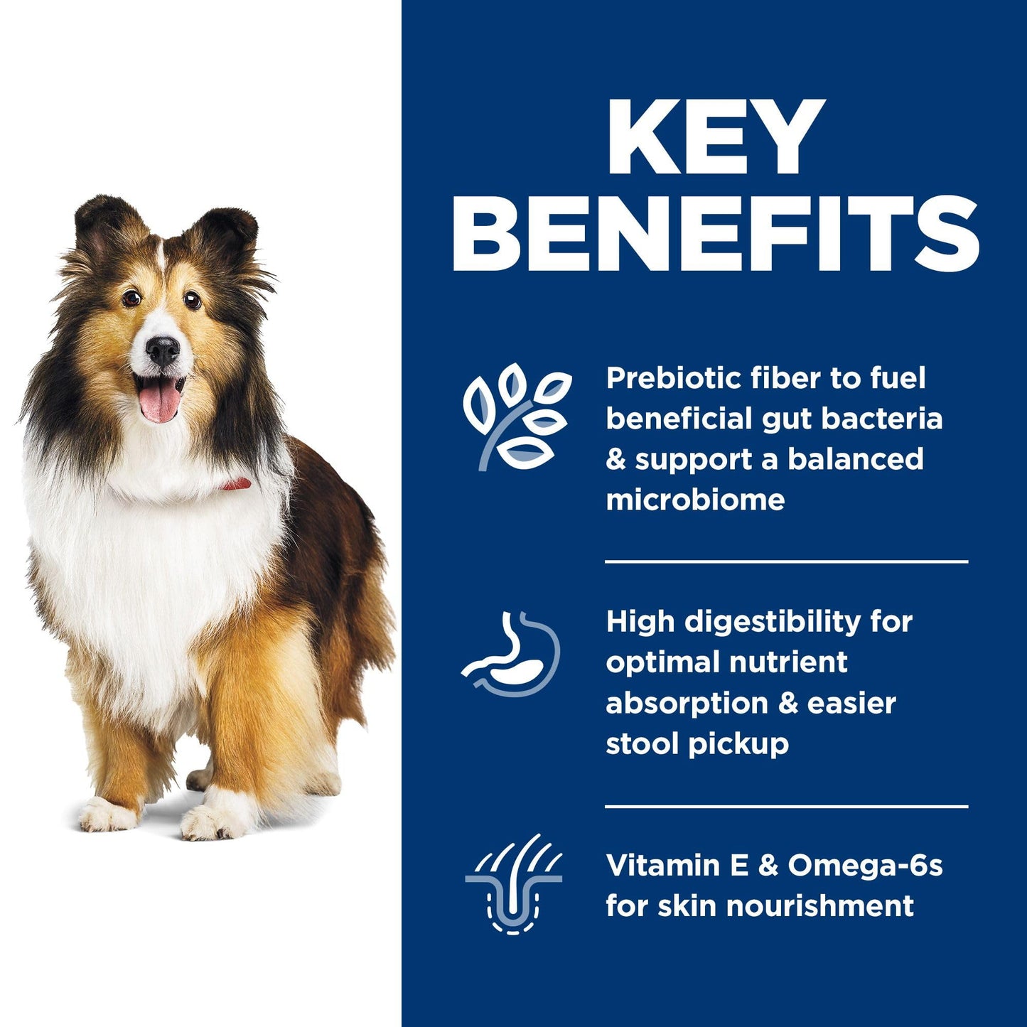 Hill's Science Diet Adult Sensitive Stomach & Skin Chicken Recipe Dry Dog Food 13.6 kg Bag 🍁 All In One Marketplace Canada