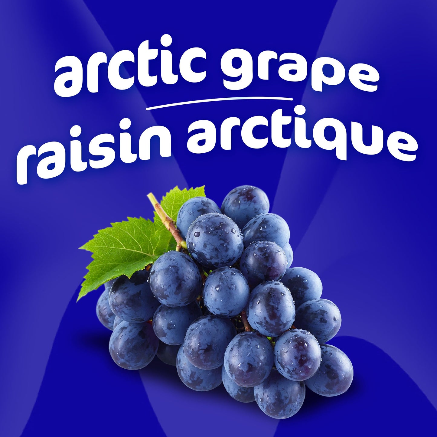 Mio Hydrate Arctic Grape Electrolyte Drink Mix, 48 mL Bottle (Pack of 12)